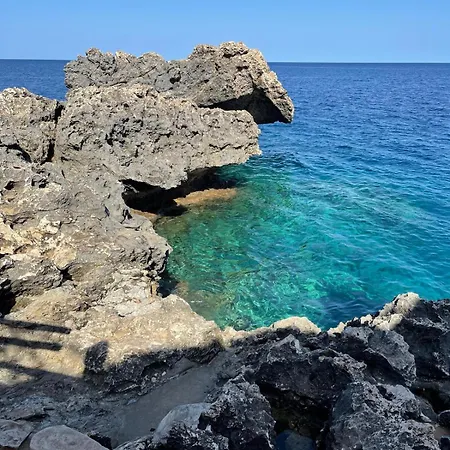 Lamias For A Relaxing Time *